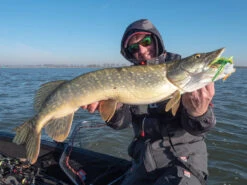 Fox Rage RS Triple-Layer Salopettes 31 Fox Rage RS Triple-Layer Salopettes -sport-ijsvissen NPR386r 15